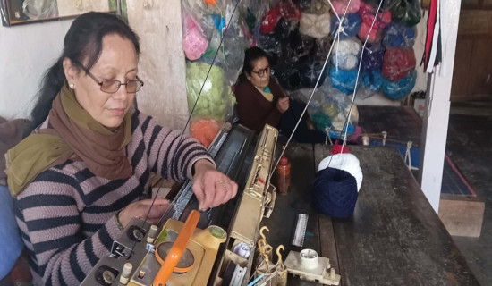 घरेलु उद्यममा व्यस्त भोजपुरका दुई दिदीबहिनी