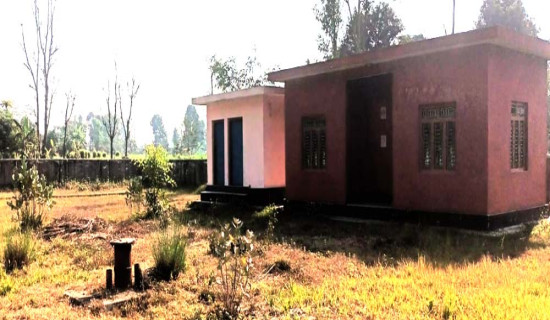 थारू नृत्य प्रतियोगितामा रौतहट पहिलो