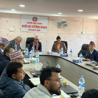 चुनावी मैदानमा खेलकर्मी