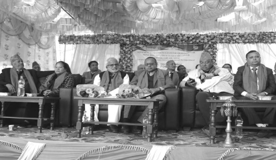 तनहुँमा उम्मेदवारविरुद्ध परेन उजुरी, २८ जनाबिच प्रतिस्पर्धा