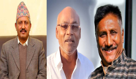 प्रमुख दलबिनाको निर्वाचन