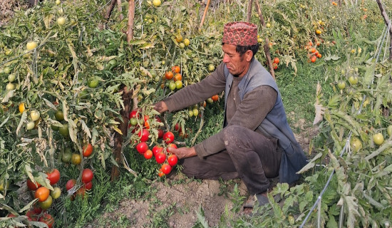 दाङमा चार हजार प्रहरी परिचालन गरिने