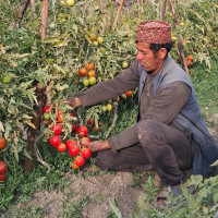 घरेलु उद्यममा व्यस्त भोजपुरका दुई दिदीबहिनी