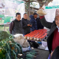 राजा च्याउ