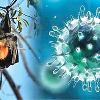 परराष्ट्रमन्त्री डा देउवा र भारतीय विदेशमन्त्री डा जयशङ्करबीच भेटवार्ता