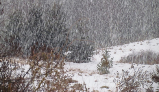 ताप्लेजुङमा पहिरोले पुरिएर एकै परिवारका चारको मृत्यु