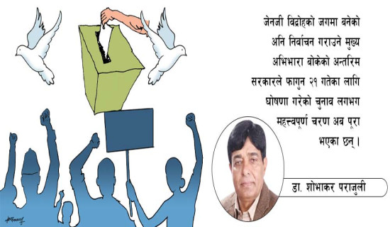 निर्वाचनमा नयाँ पुस्ता