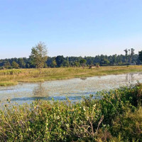 बोरिङकै कारण भासियो जमिन