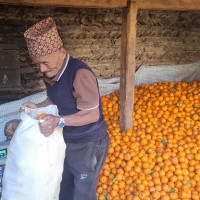 शान्ति कविता गोष्ठीमा गुन्जिए १५ कवि