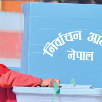 पात्लेखेतको एउटै बगानबाट ६ लाखको सुन्तला बिक्री