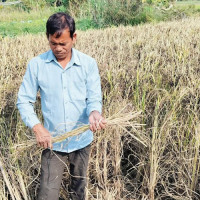 बार्सिलोनामा भारी वर्षाले रेल सेवा अवरुद्ध