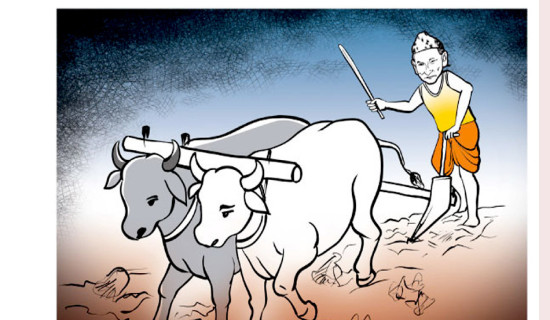 मुक्तिनाथको झल्को दिने तनहुँको च्यवनधाम धार्मिक पर्यटनको केन्द्र बन्दै