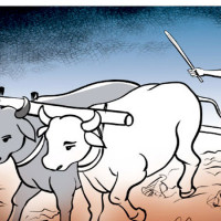 ‘दसैँ लक्ष्मी पूजामा मात्र सकिन्छ’  डा. जोशी