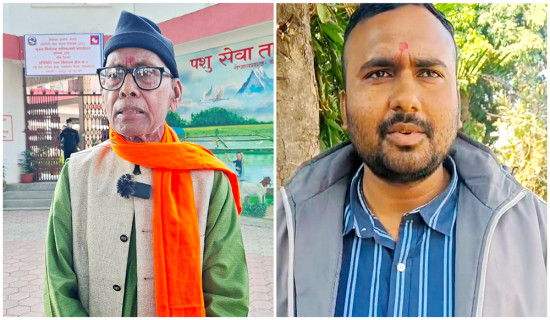 रातो मत्स्येन्द्रनाथको रथबाट खसालियो नरिवल