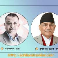 हिमपातले पर्यटक अलपत्र