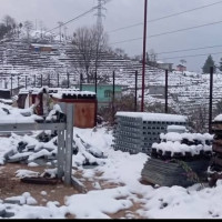 विद्याकी देवीको पूजाआराधना