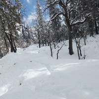 बाजुरामा वर्षासँगै हिमपात