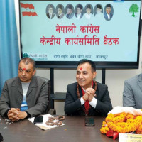 विद्याकी देवीको पूजाआराधना