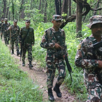 विद्याकी देवीको पूजाआराधना