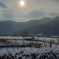 विद्याकी देवीको पूजाआराधना