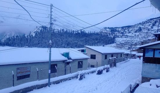 मौसमसँगै फेरिने शैलुङ