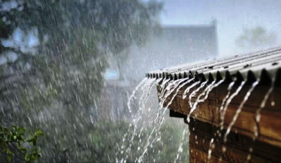 जिम्बाब्वेमा मुसलधारे वर्षाः नौको मृत्यु, सडक र पुलमा व्यापक क्षति