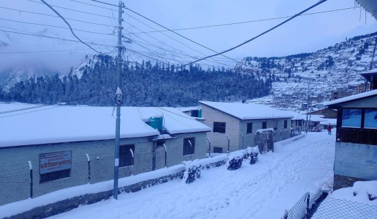 ऊर्जा रूपान्तरणमा पोर्चुगलको ठुलो कदम