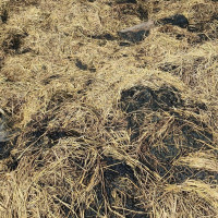 दीपेन्द्र अग्रवालसहित शेयर बजारका लगानीकर्ता एमालेमा प्रवेश