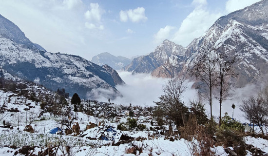पशुपतिको गौशालामा गाई पूजा (फोटो फिचर )