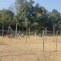 नेपाल र चीनबीच १३ वटा समझदारी पत्रमा हस्ताक्षर