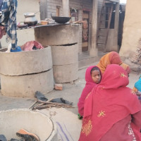 सुनसरीमा सिरुवा र जुडसित मनाइँदै