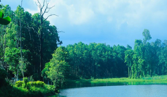 इटहरीमा अनधिकृत संरचना भत्काइए