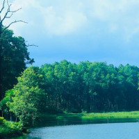 दिवा खाजापछि विद्यार्थी नियमित