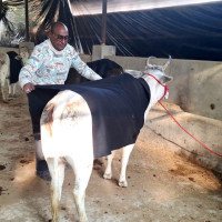 चार करोडमा प्रभा माविको १६ कोठे भवन निर्माण