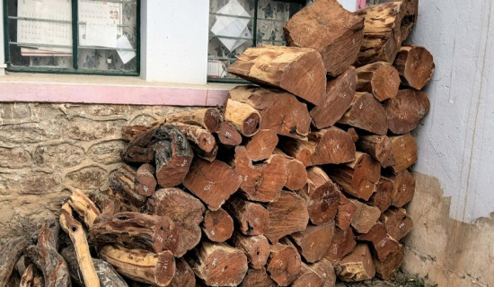 वन कार्यालयद्वारा काठ बरामद