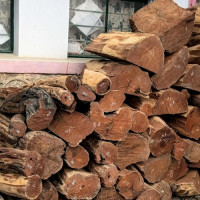 नमोबुद्धमा ‘सेभेन ए साइड’ फुटबल प्रतियोगिता