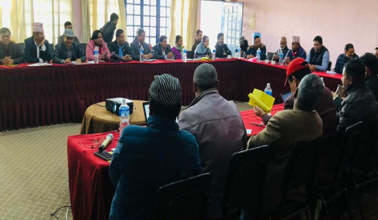 घोषणापत्रमा दलितको विषय समेट्न माग