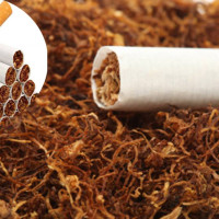 जङ्गली च्याउ खाँदा छ जना विरामी, पाँचको अवस्था गम्भीर