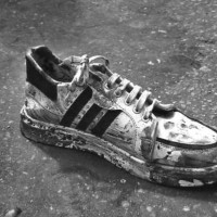 जङ्गली च्याउ खाँदा छ जना विरामी, पाँचको अवस्था गम्भीर