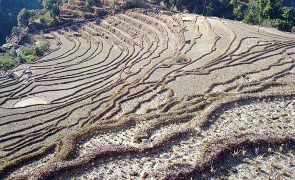 निरन्तर घट्दै खेतीयोग्य जमिन