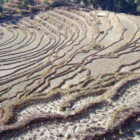 क्षमताभन्दा तीन गुणा बढी कैदीबन्दी