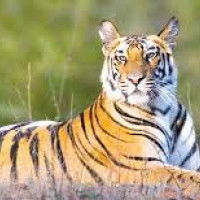 यस्तो छ आजका लागि निर्धारण गरिएको विदेशी मुद्राको विनिमयदर