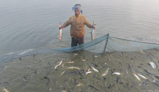 माछापालनबाट आत्मनिर्भर बन्दै शैलेन्द्र