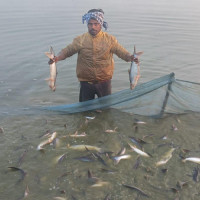 मदन भण्डारी मार्ग सञ्चालनमा