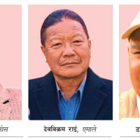 रेसुङ्गामा अटो तथा विद्युतीय रिक्साको भाडादर र रुट निर्धारण