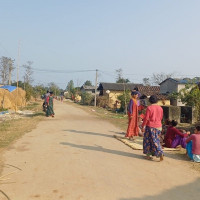 रेसुङ्गामा अटो तथा विद्युतीय रिक्साको भाडादर र रुट निर्धारण