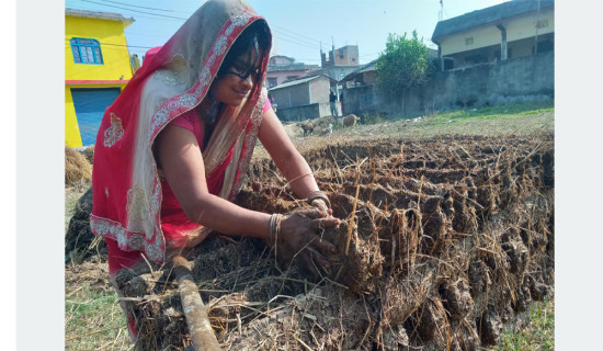 स्थानीय तहमा सीमा विवाद : साढे आठ वर्षसम्म पनि उस्तै