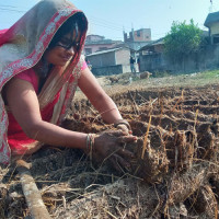 ‘गोल घर’ संरक्षण गर्दै उद्योग वाणिज्य सङ्घ