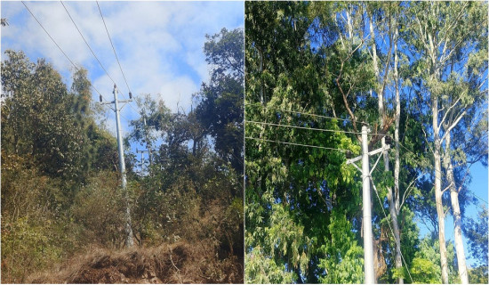 आयात प्रतिस्थापन गर्न उद्योग स्थापना