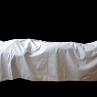 राज्यका निकायमा महिलाको सहभागिता सुनिश्चित हुँदैछ : सभामुख